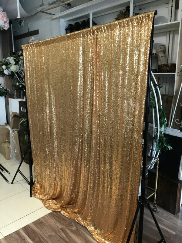 IMG 0147 scaled Vanessa Gold Sequin (Shimmering) Backdrop