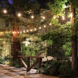 Vintage String Lights Costco