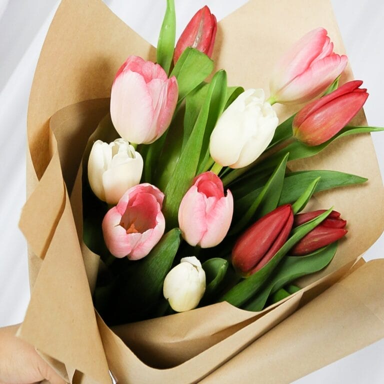 Get Me Laid Tulips Bouquet