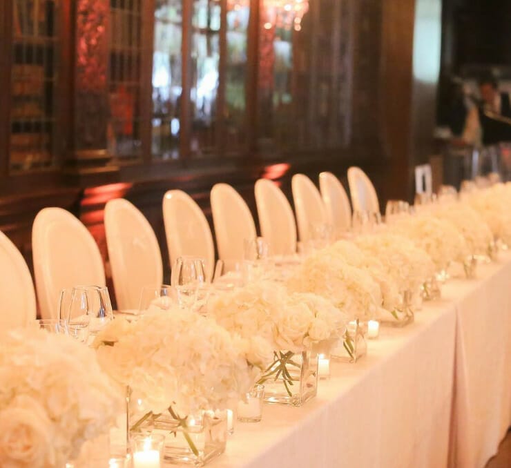 Achel Fresh Portfolio: social events