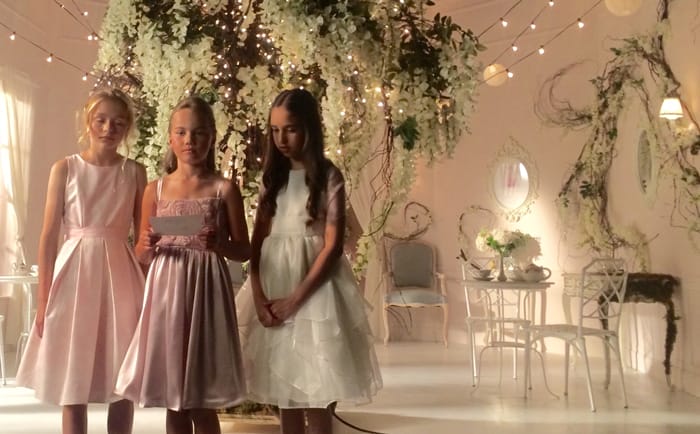 commercial trees 1 7 Places to Rent Huge Trees in Toronto