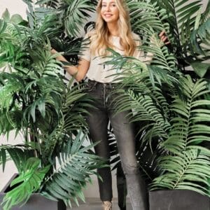 Tropical Backdrop Greenery Summer