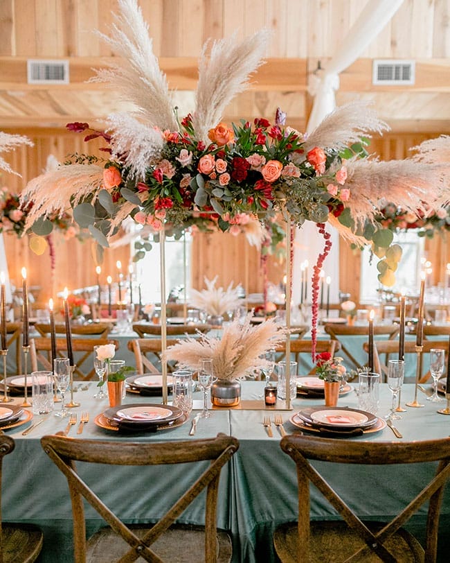 Laura Moll Photography