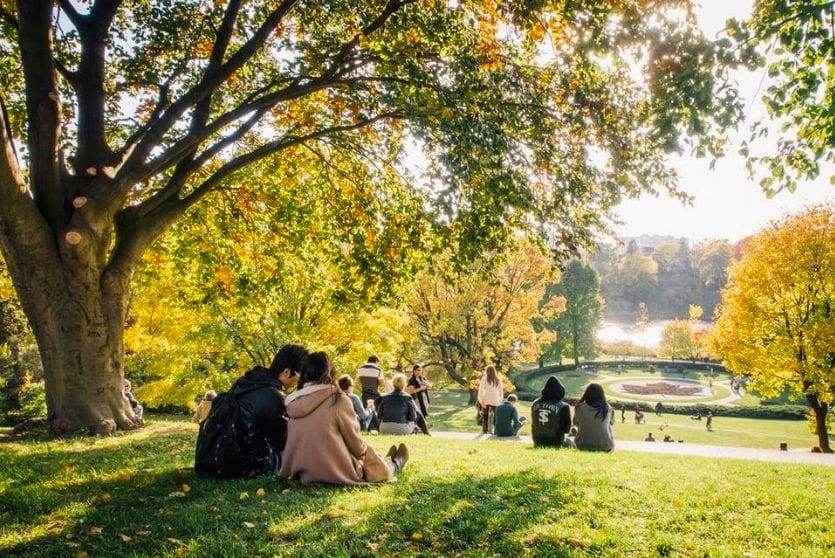 High Park