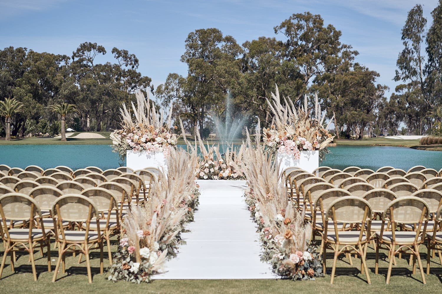 Pampas Grass Backdrop