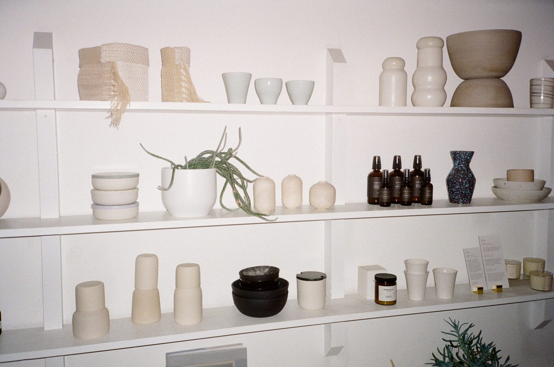 000072730001 5 Best Shops for Valentines Gift for Him in Toronto