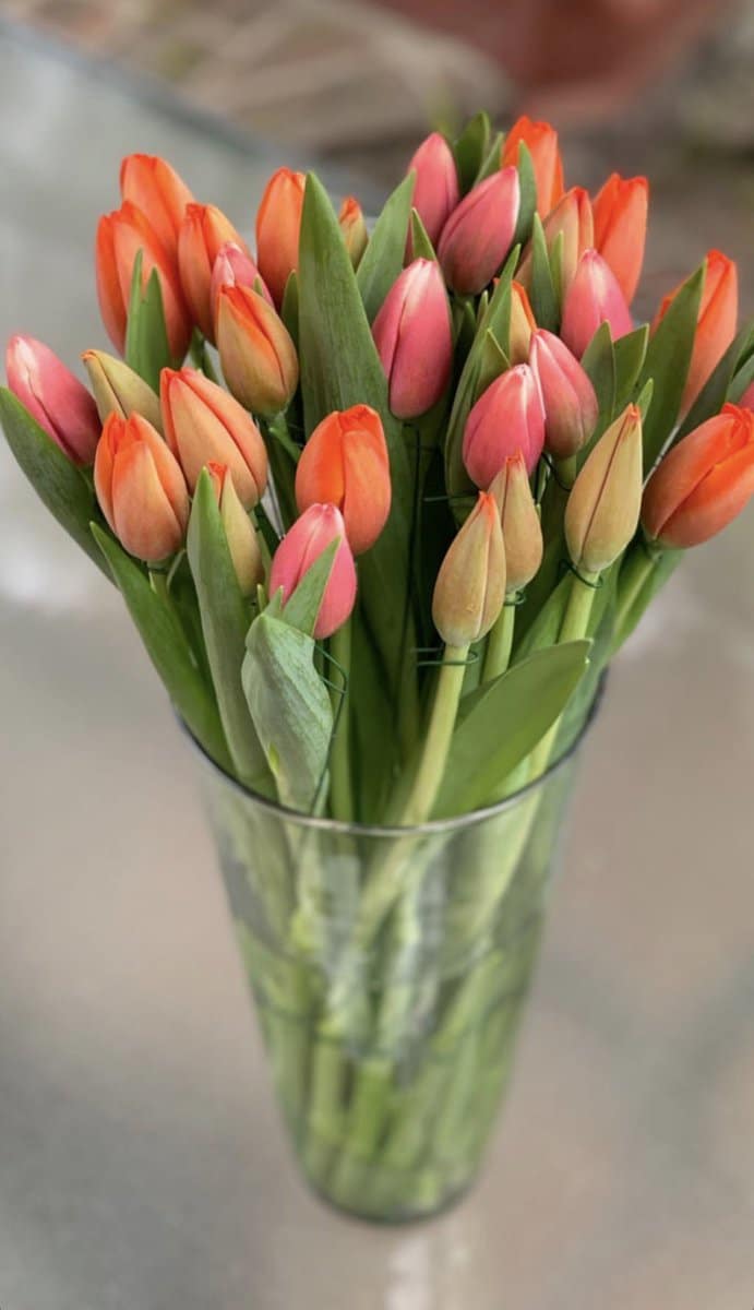 Karen's Flower Shop Tulips for Delivery in Vaughan