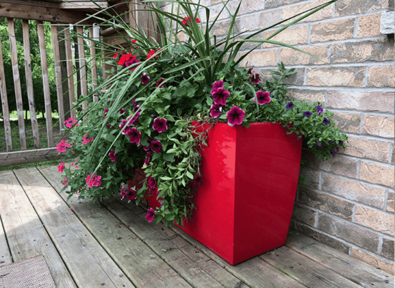 5 Plant Shops To Buy Pretty Planters for Outdoor Plants in Toronto