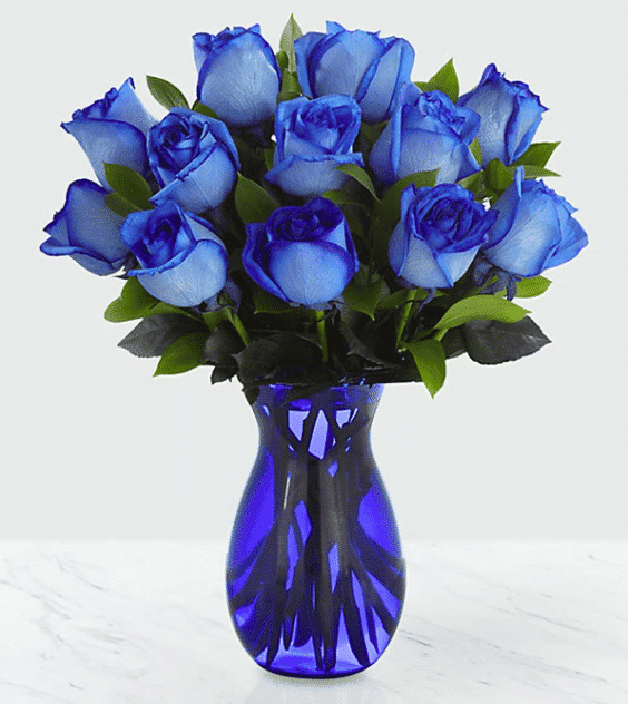 Flower Company Blue Roses for Delivery and Pickup