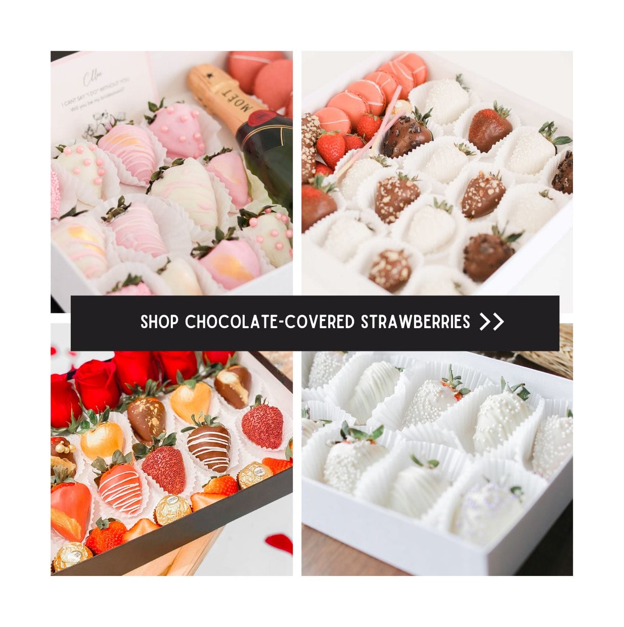 chocolate covered strawberries