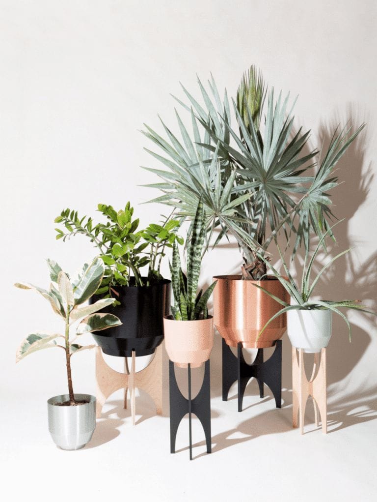 5 Places To Buy Rustic Planters for Plants in Toronto