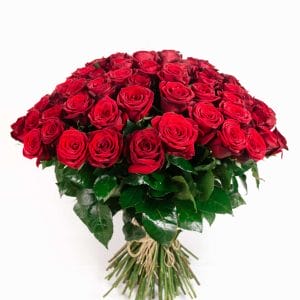Wild For You · Huge Red Roses Bouquet