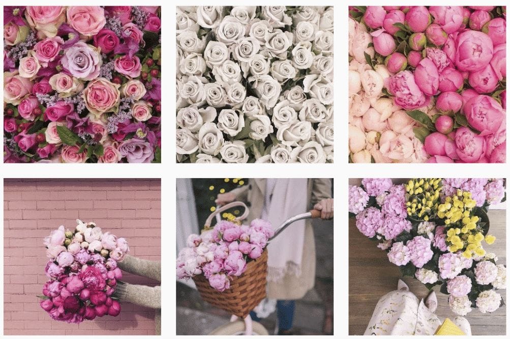 Toronto Bulk Flowers