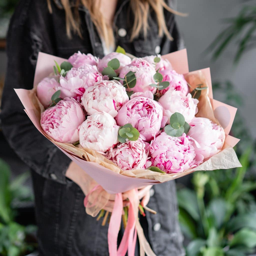 Pink Peonies Toronto