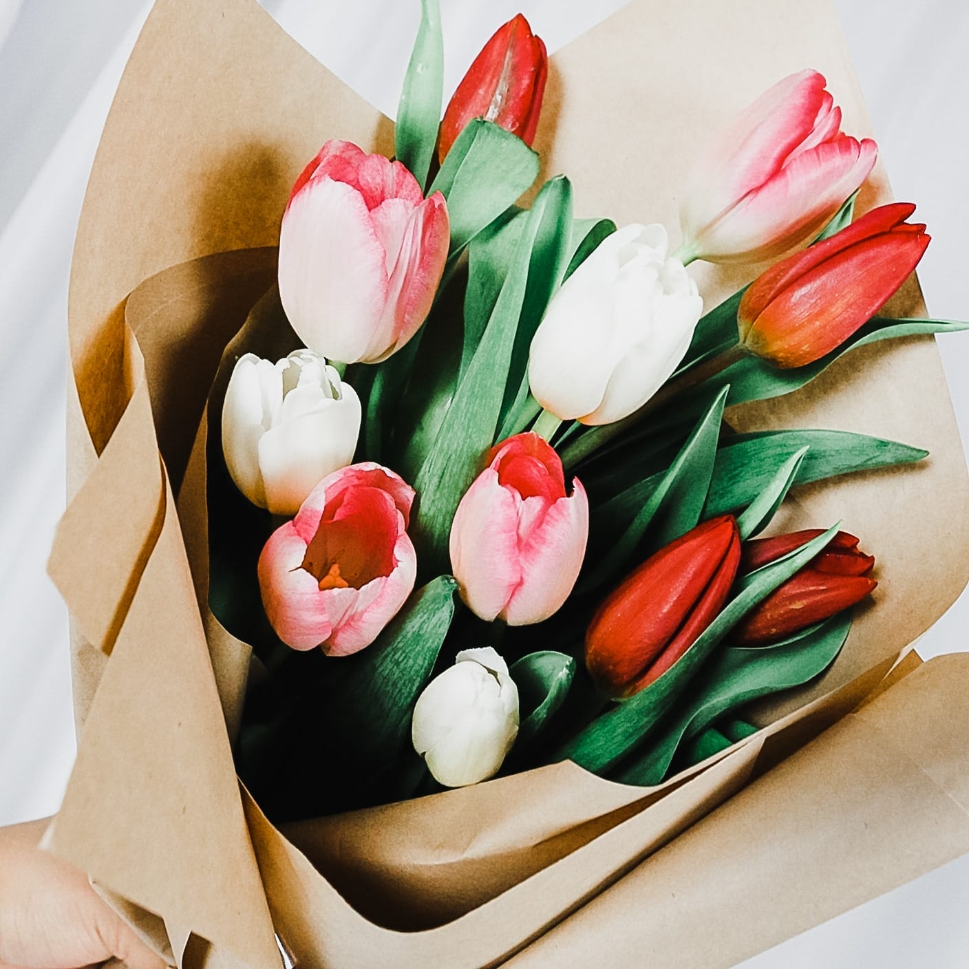 On Fleek · Tulips Bouquet (Limited Edition)