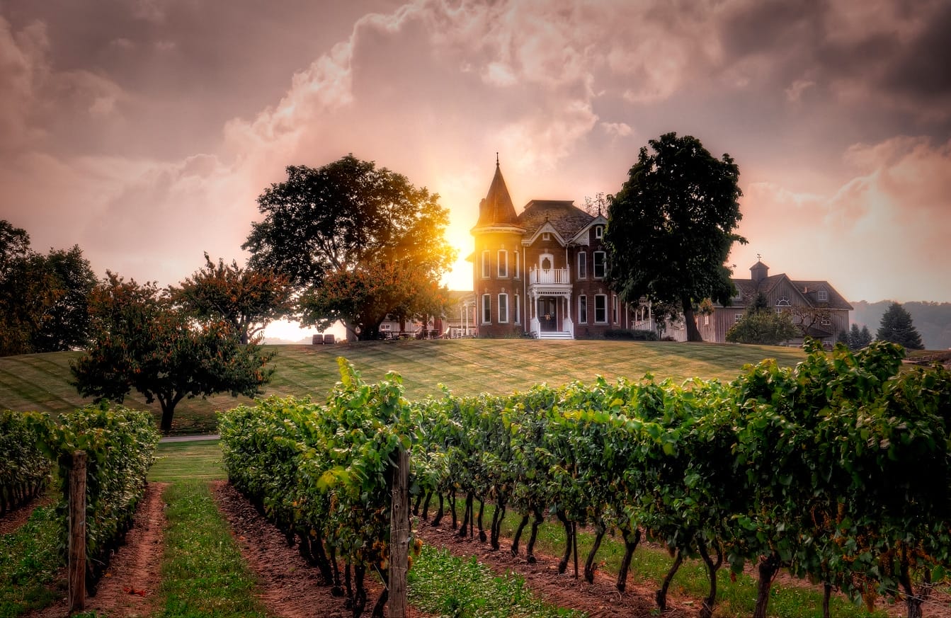 10 Stunning Winery Wedding Venues In Ontario • VintageBash