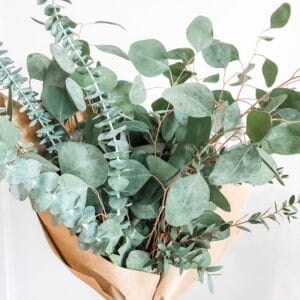 Fresh Eucalyptus Bouquet