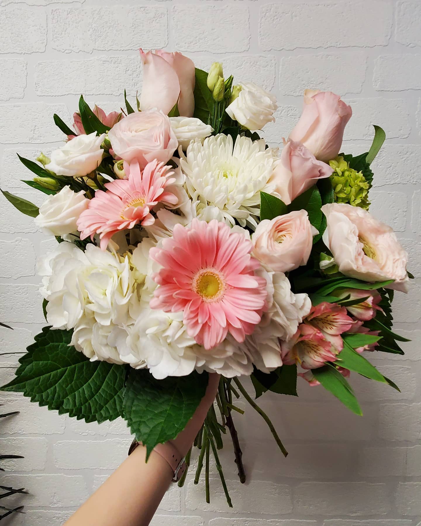 Fresh ranunculus Flowers by CC