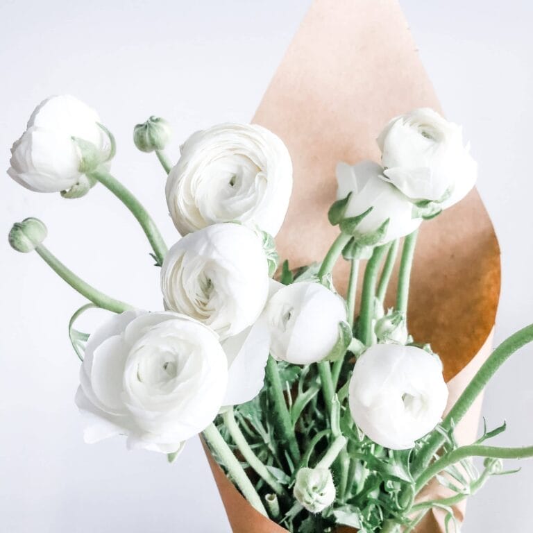 10 Best Flower Shops for Fresh Ranunculus Flowers in Toronto