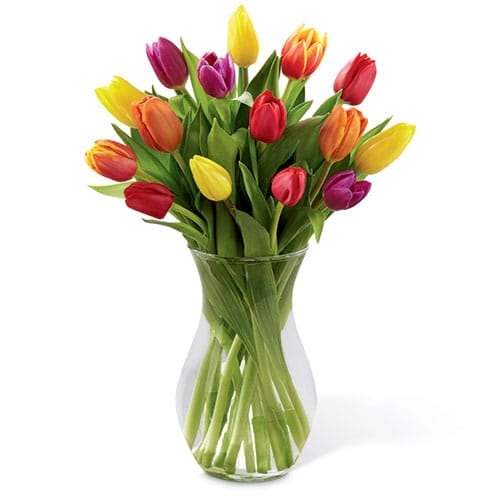 tulip arrangements from Ital Florist
