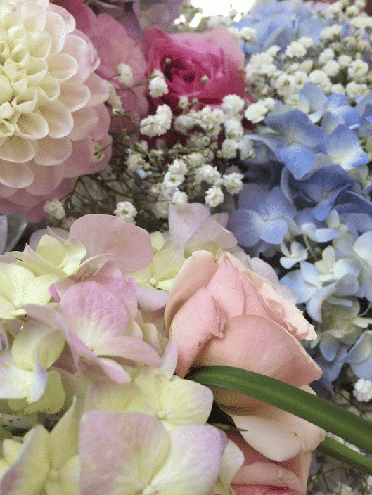 4165 Florist