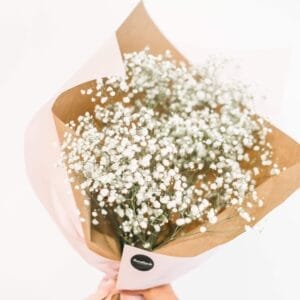 Fresh Baby's Breath Flower Bouquet