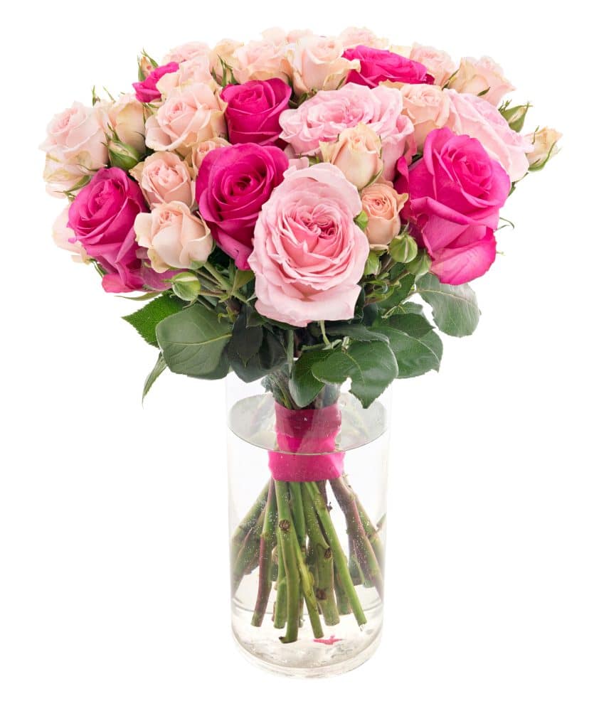 hotpink pink roses 5 Best Flower Shops for Fresh Pink Roses in Toronto (Ontario)