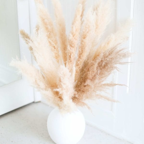 pampas grass decor scaled 1 White Swan · Dried Pampas Vase Arrangement