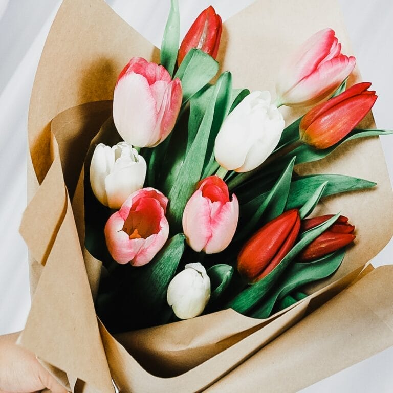 5 Best Flower Shops to Buy Tulips