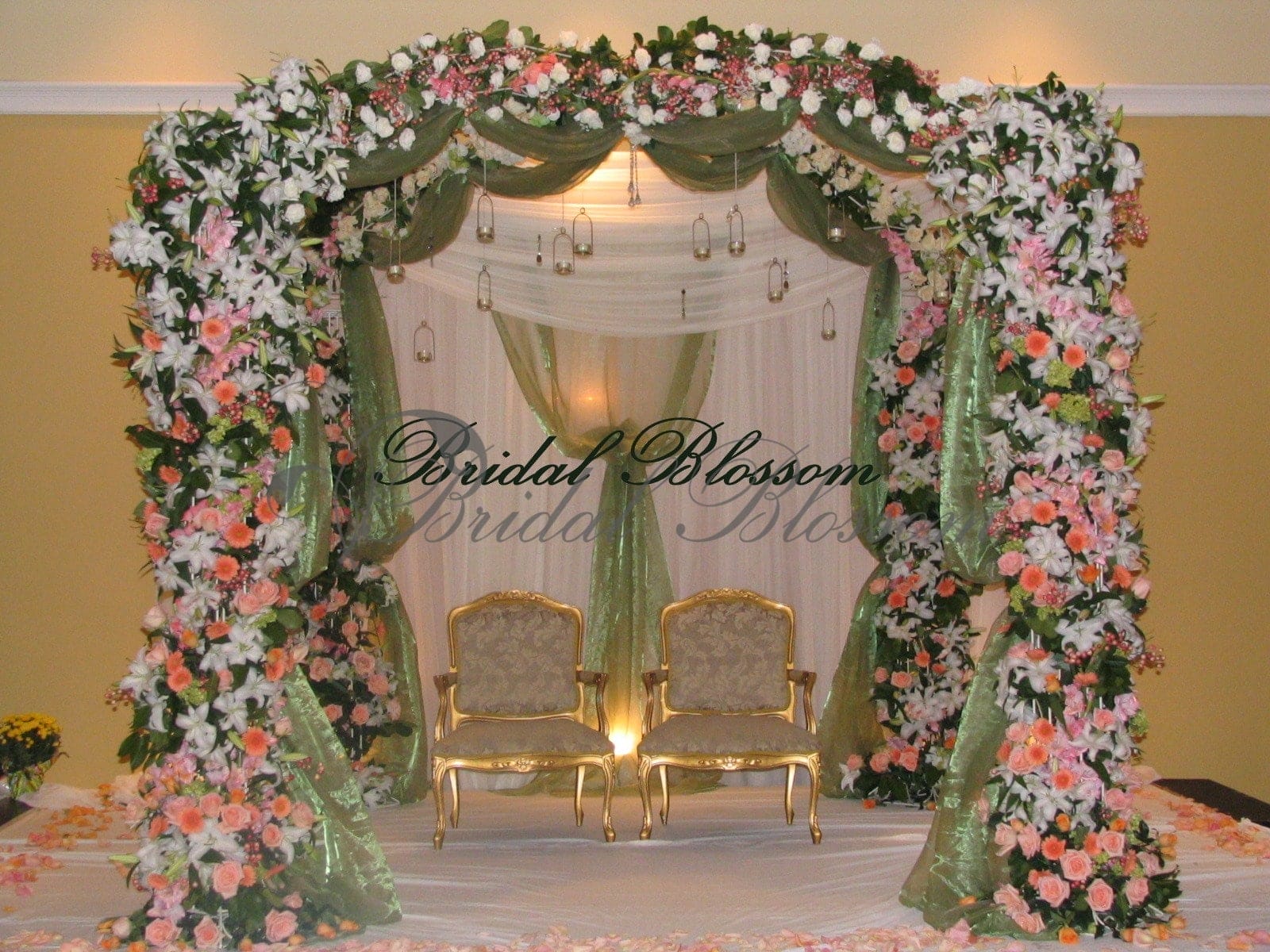 Bridal Blossom arch and backdrop