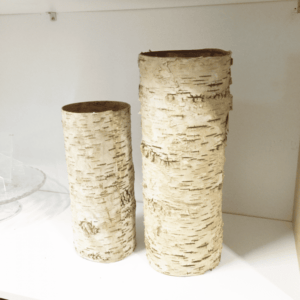Props: Birch Decor