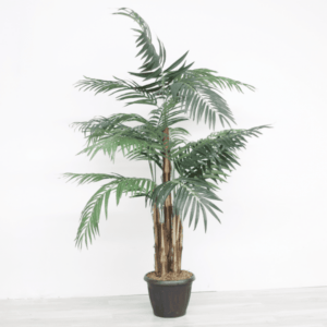 Trees, Plants & Planter Rentals