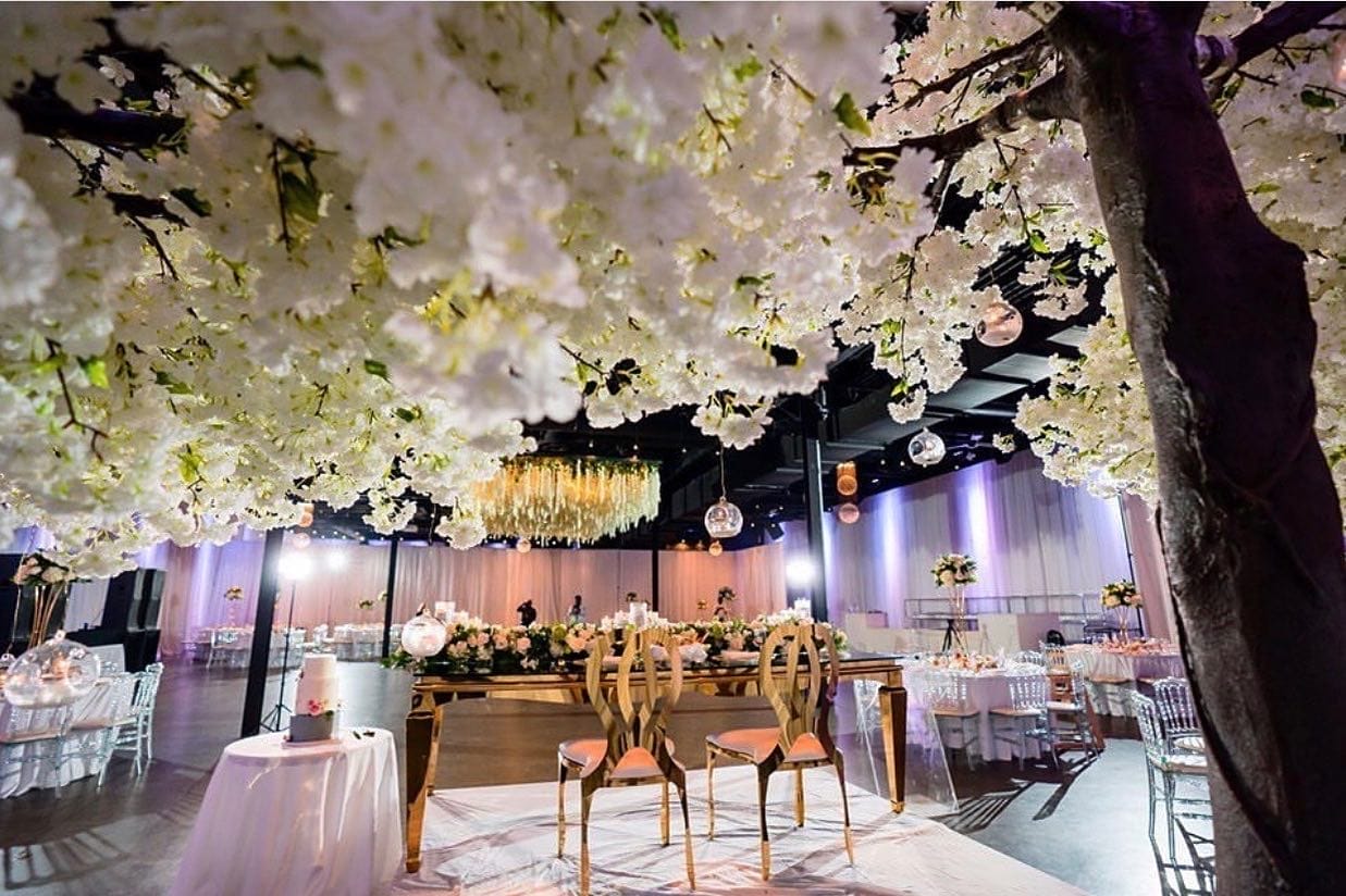 party rental companies in toronto
