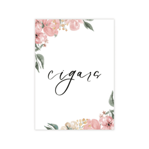Parisian Pink Nude Cigars Sign