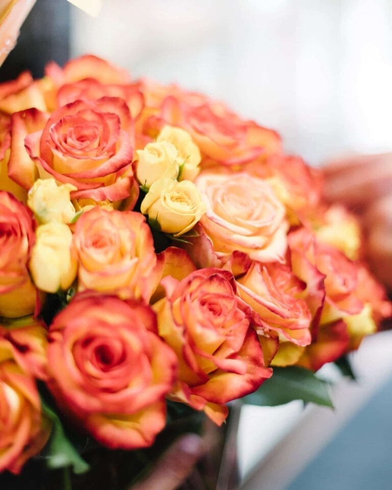 5 Best Flower Shops to Buy Peach Roses & Flowers