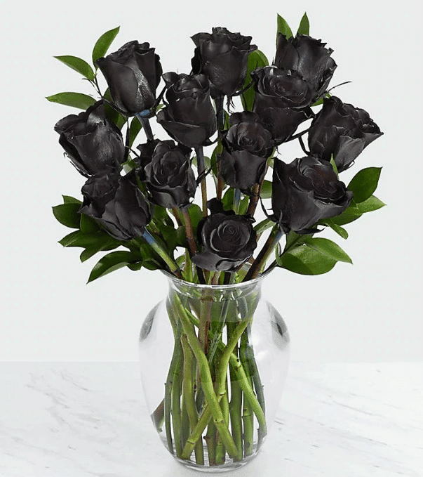 Black Long Stem Roses Arrangement