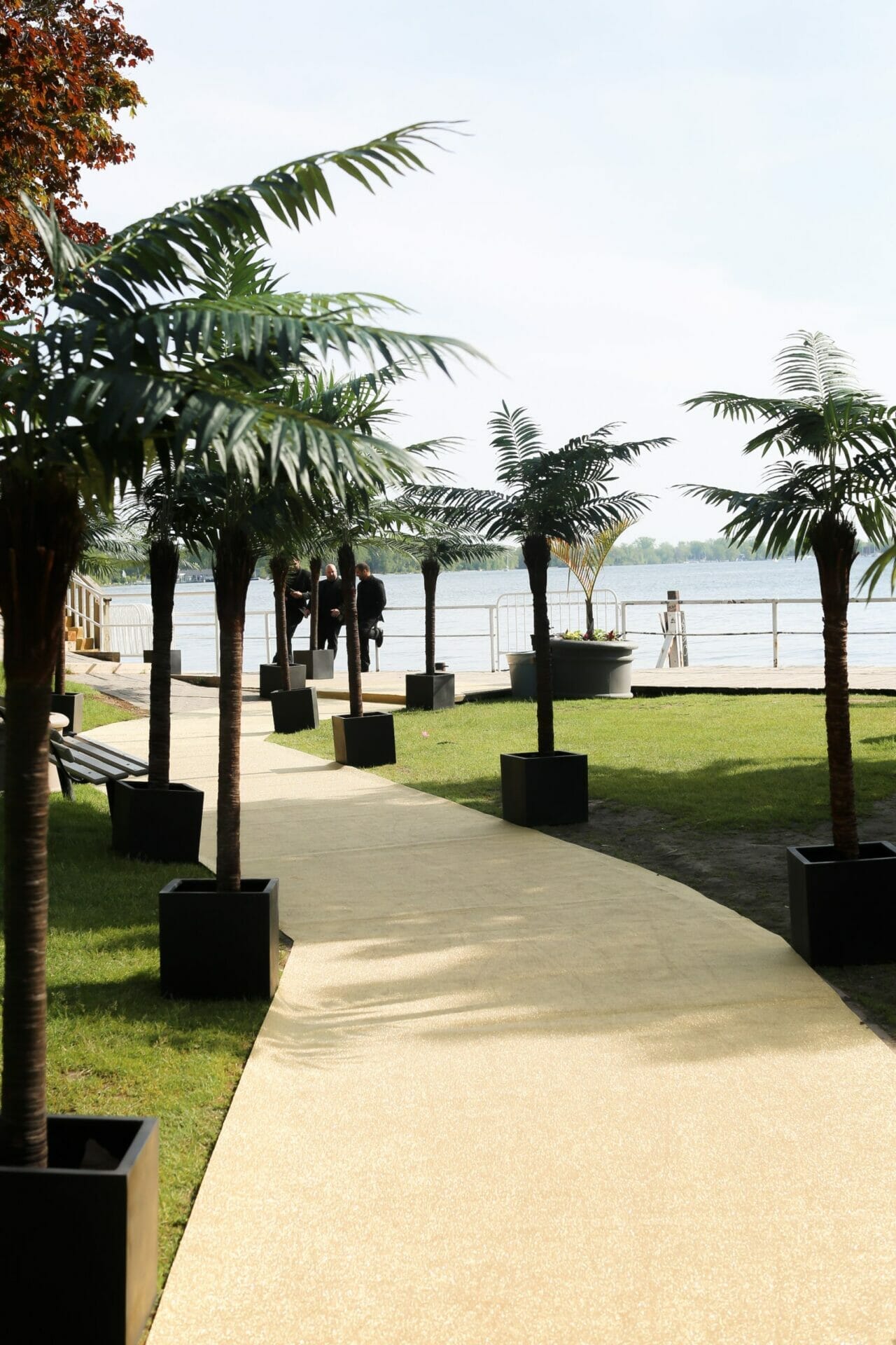 086A1188 scaled 1 7 Places to Rent Huge Trees in Toronto