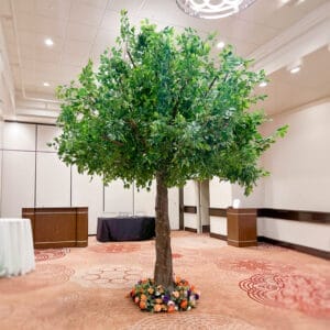 Elowyn Ficus Tree Decor